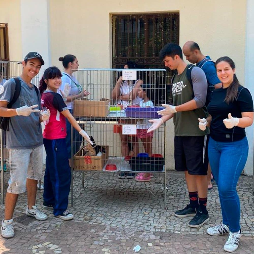 Cuidando dos gatinhos