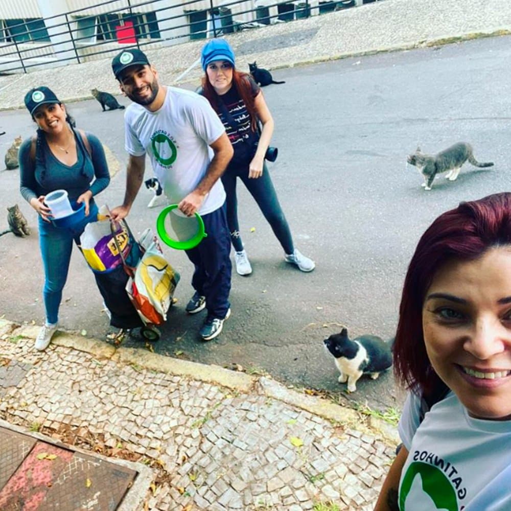 Alimentando os gatinhos