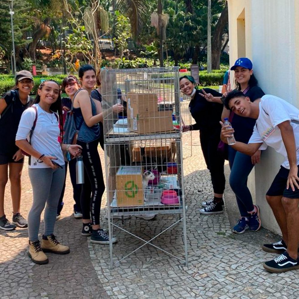 Feira de adoção